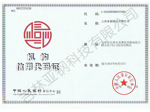 亚钢科技组织机构代码证
